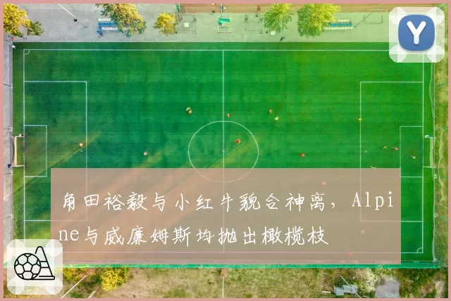角田裕毅与小红牛貌合神离,Alpine与威廉姆斯均抛出橄榄枝