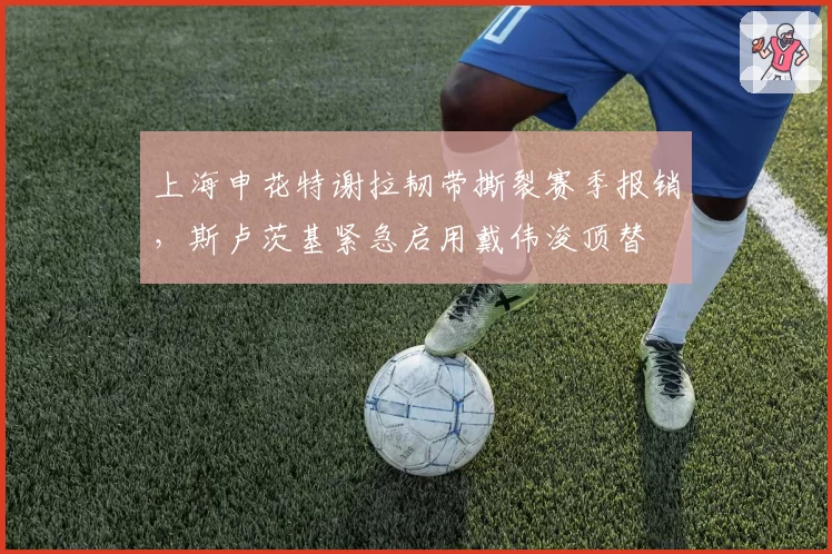 上海申花特谢拉韧带撕裂赛季报销,斯卢茨基紧急启用戴伟浚顶替