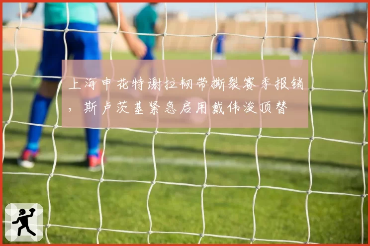 上海申花特谢拉韧带撕裂赛季报销,斯卢茨基紧急启用戴伟浚顶替