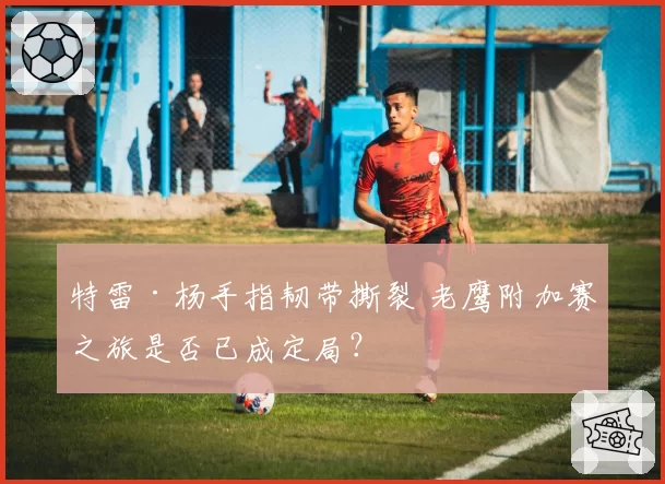 特雷·杨手指韧带撕裂 老鹰附加赛之旅是否已成定局？