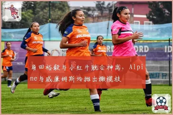 角田裕毅与小红牛貌合神离,Alpine与威廉姆斯均抛出橄榄枝